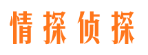 七台河市场调查